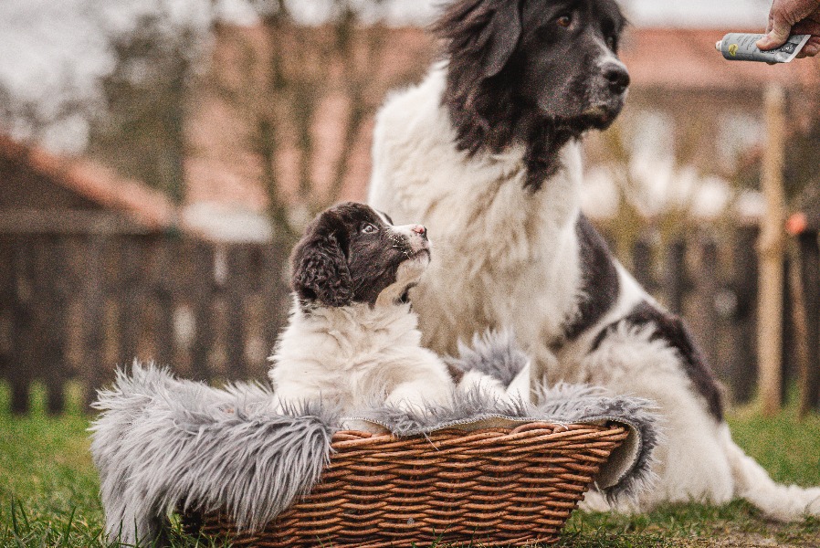 2024 02 13 Babsi Ronja